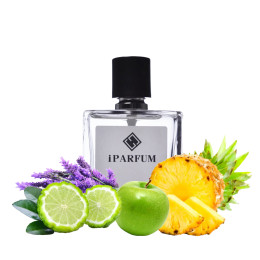 M33 Legend Montblanc